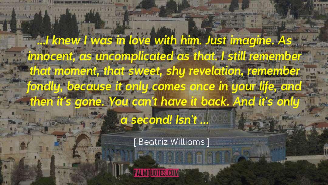 I Knew You When quotes by Beatriz Williams
