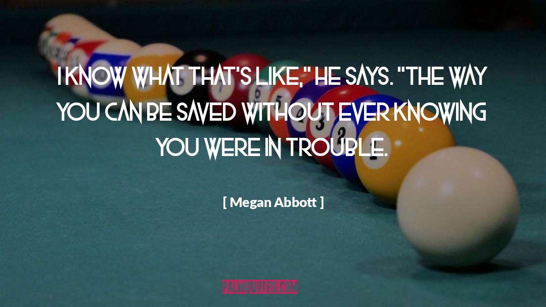 I Know I Can Be A Handful quotes by Megan Abbott