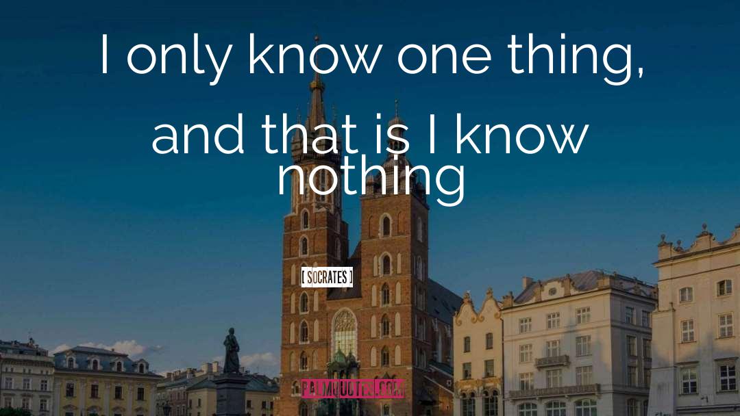 I Know Nothing quotes by Socrates