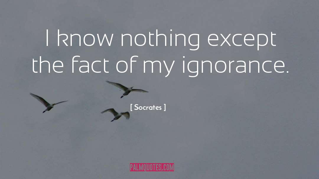 I Know Nothing quotes by Socrates