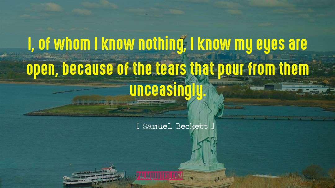 I Know Nothing quotes by Samuel Beckett