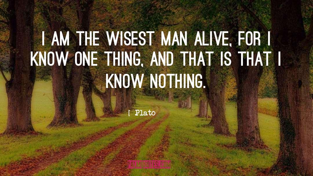 I Know Nothing quotes by Plato