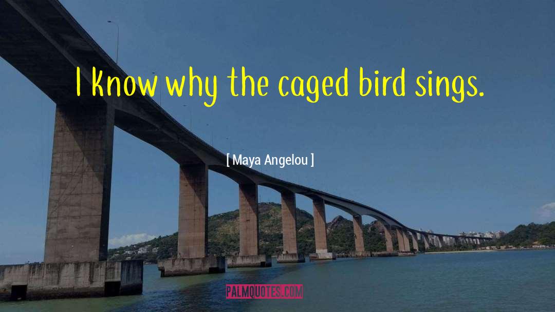 I Know Why The Caged Bird Sings quotes by Maya Angelou