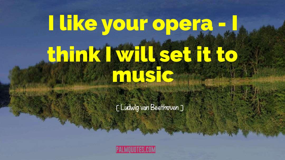 I Liked You quotes by Ludwig Van Beethoven