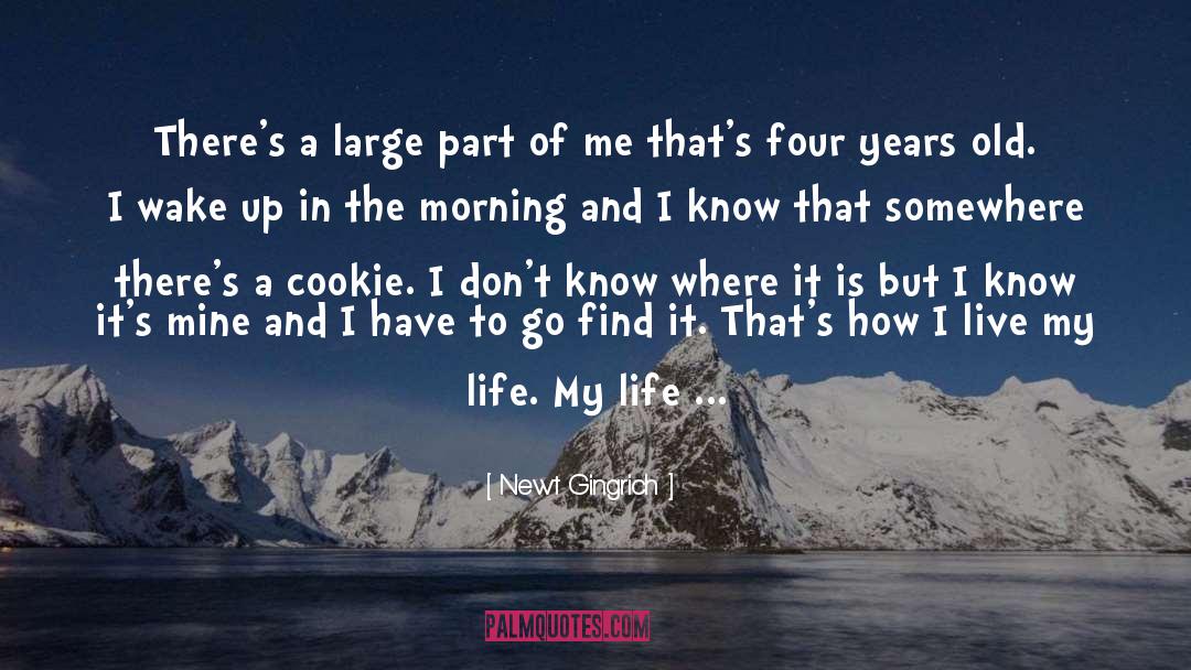 I Live My Life quotes by Newt Gingrich