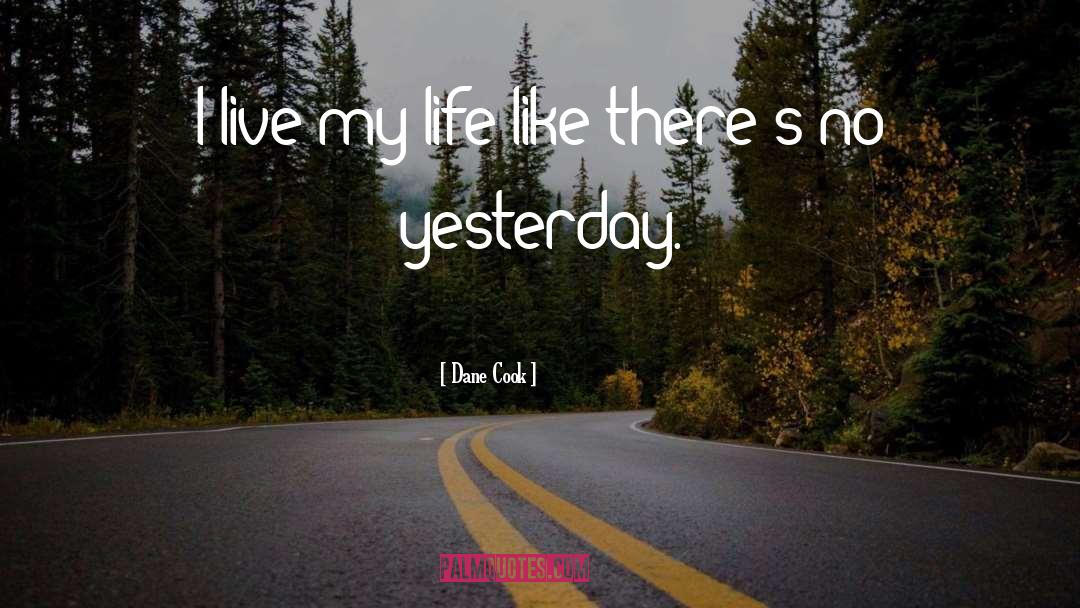 I Live My Life quotes by Dane Cook