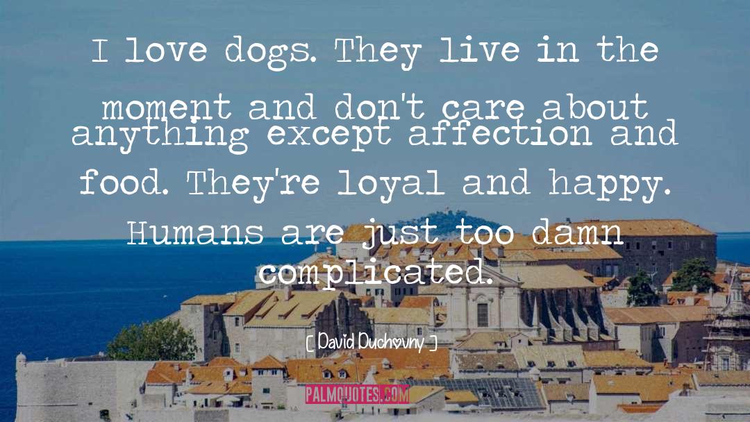 I Love Dogs quotes by David Duchovny