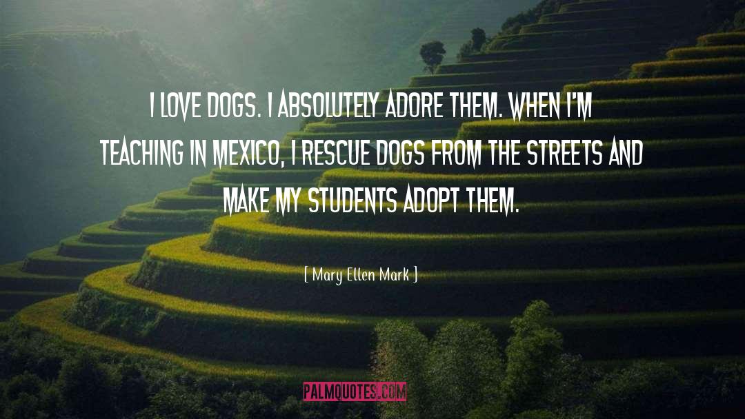 I Love Dogs quotes by Mary Ellen Mark