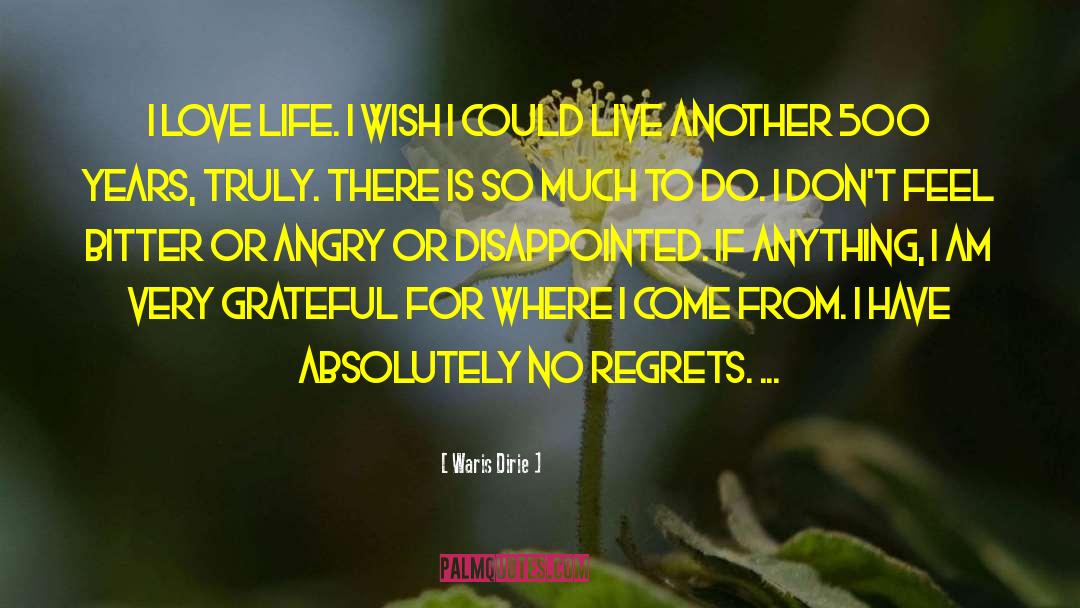 I Love Life quotes by Waris Dirie