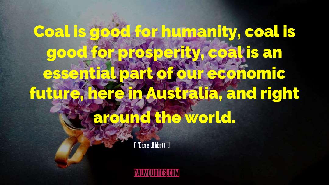I Love My Coal Miner quotes by Tony Abbott