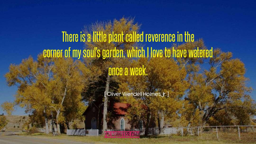 I Love My Garden quotes by Oliver Wendell Holmes, Jr.