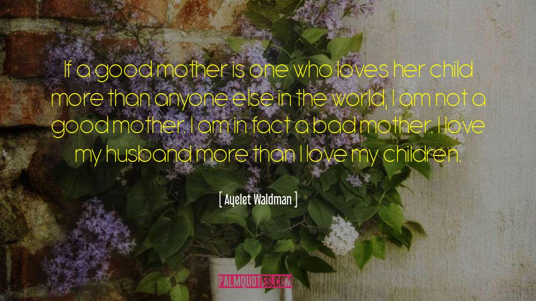 I Love My Husband quotes by Ayelet Waldman