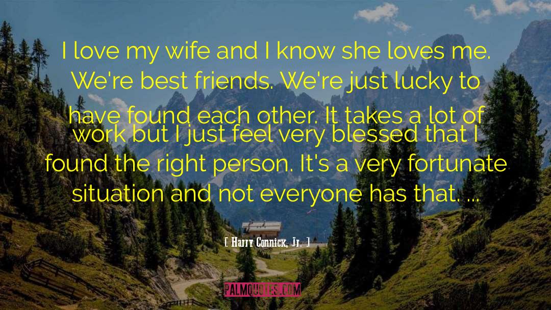 I Love My Wife quotes by Harry Connick, Jr.