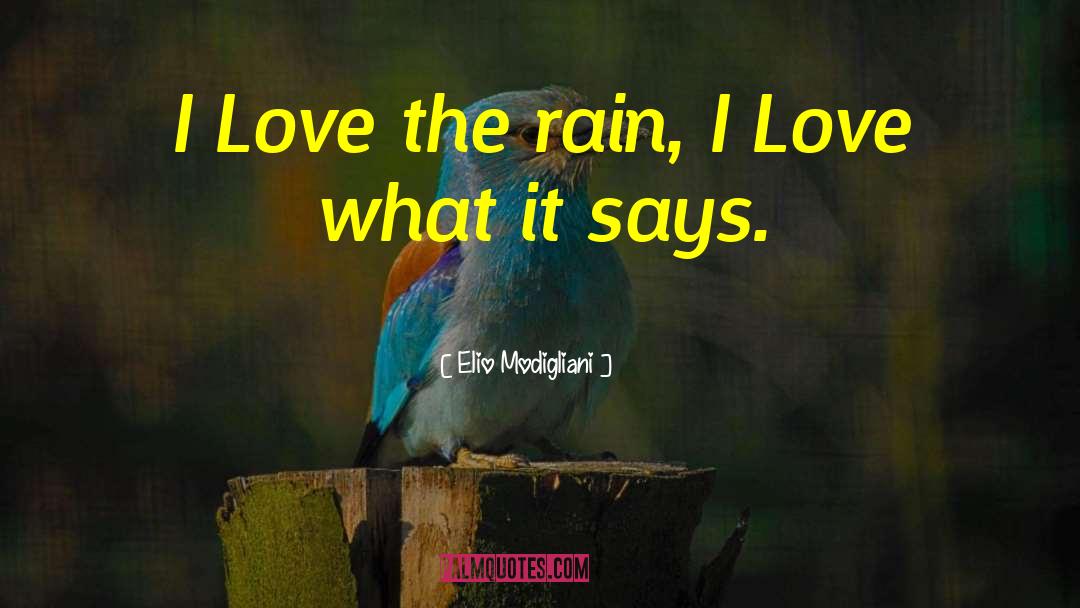 I Love The Rain quotes by Elio Modigliani