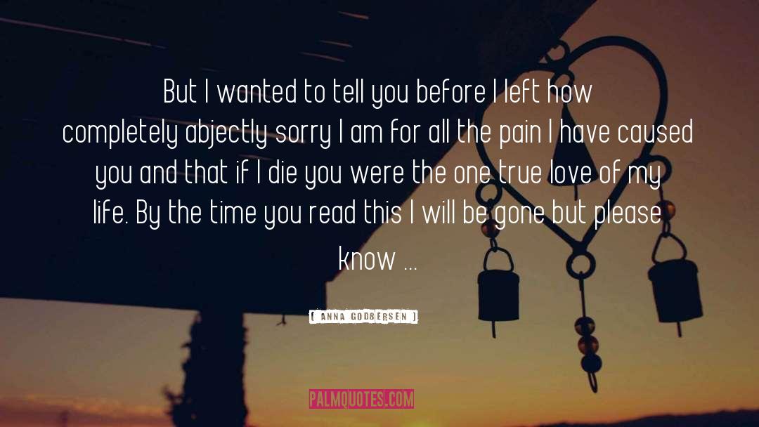 I Love You And I Am Sorry quotes by Anna Godbersen