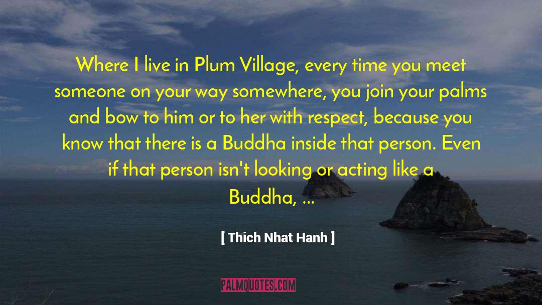 I Love You And Respect You quotes by Thich Nhat Hanh