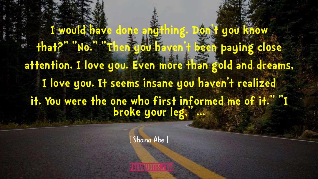 I Love You Baby quotes by Shana Abe