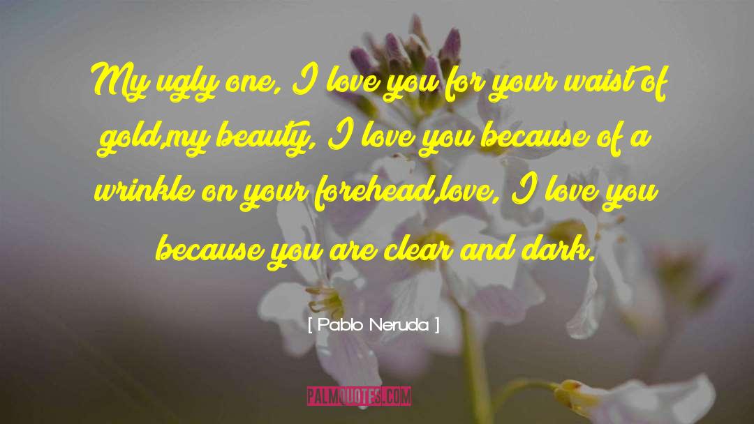 I Love You Because quotes by Pablo Neruda