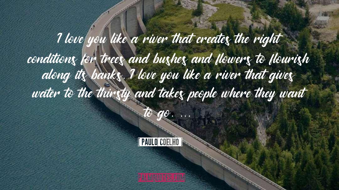 I Love You Like quotes by Paulo Coelho