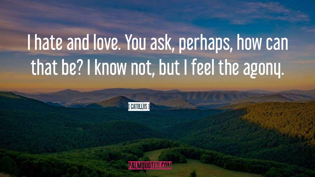 I Love You Not quotes by Catullus