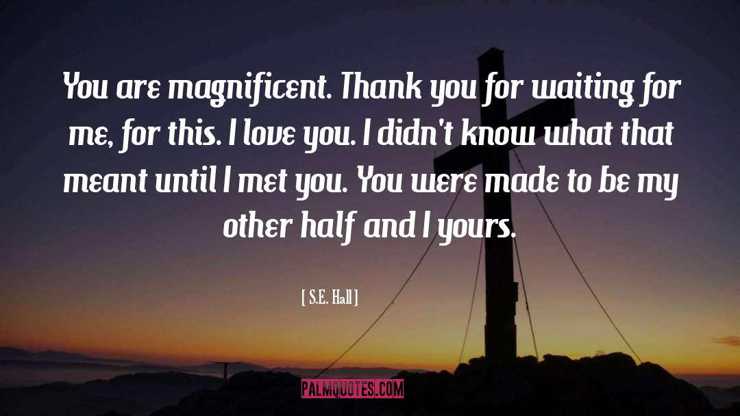 I Love You quotes by S.E. Hall