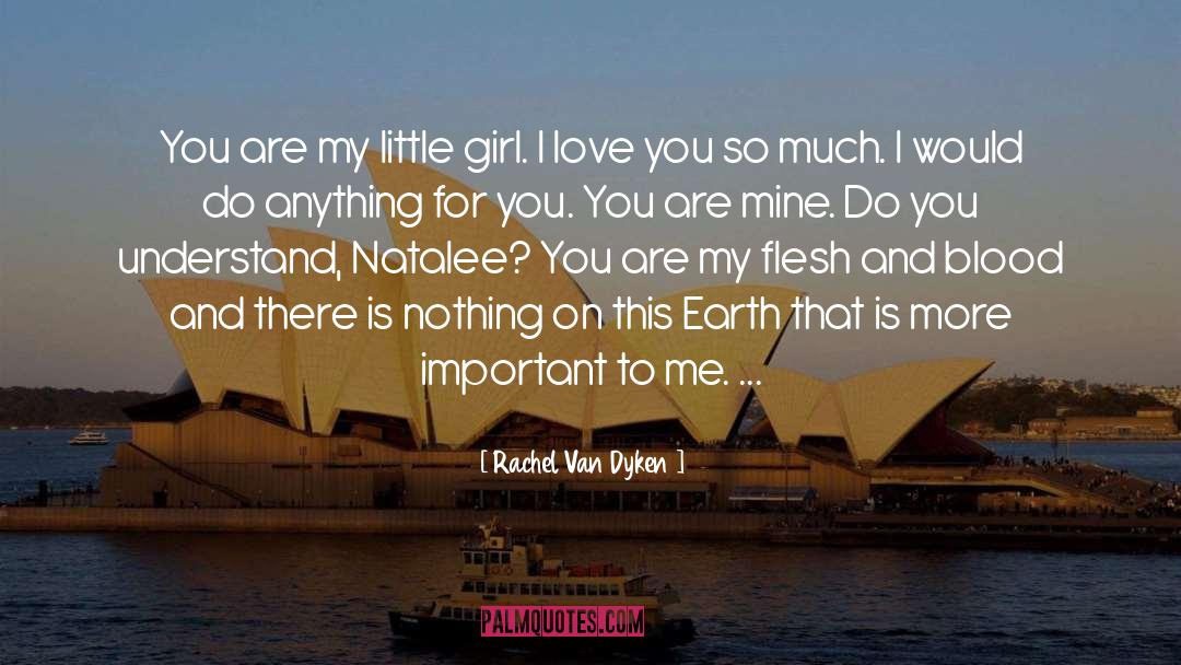 I Love You So Much quotes by Rachel Van Dyken