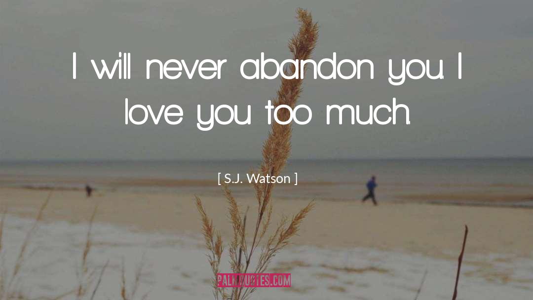 I Love You Too Much quotes by S.J. Watson