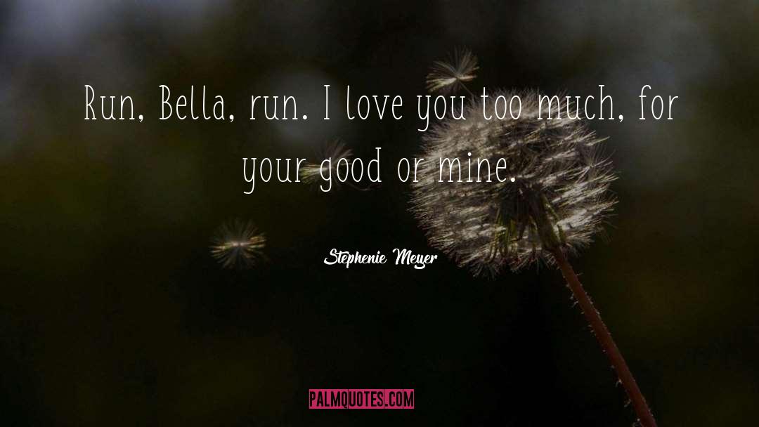 I Love You Too Much quotes by Stephenie Meyer