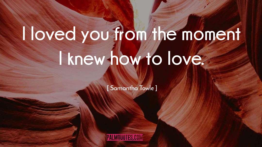 I Loved You quotes by Samantha Towle