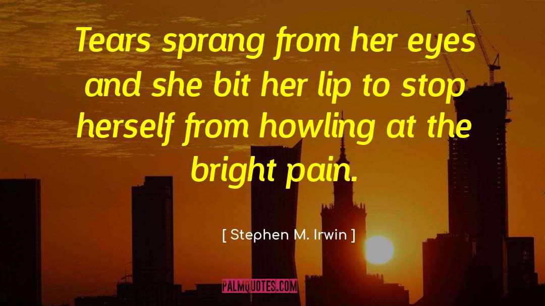 I M Crying quotes by Stephen M. Irwin