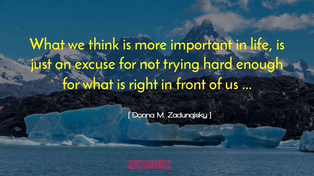 I M Right quotes by Donna M. Zadunajsky