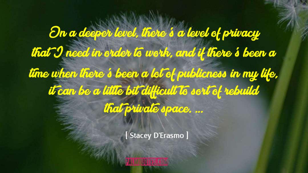 I Need Privacy quotes by Stacey D'Erasmo