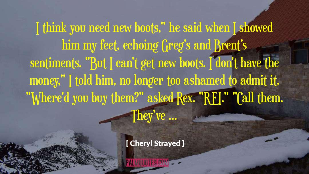 I Need To Buy New Bikini quotes by Cheryl Strayed