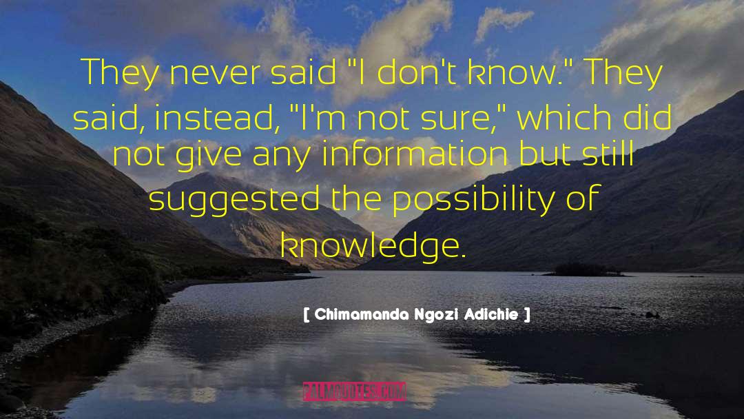 I Never Did Wrong quotes by Chimamanda Ngozi Adichie