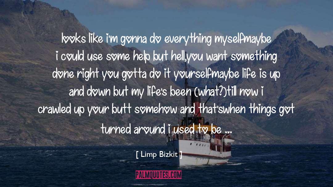 I Never Leave You Alone quotes by Limp Bizkit
