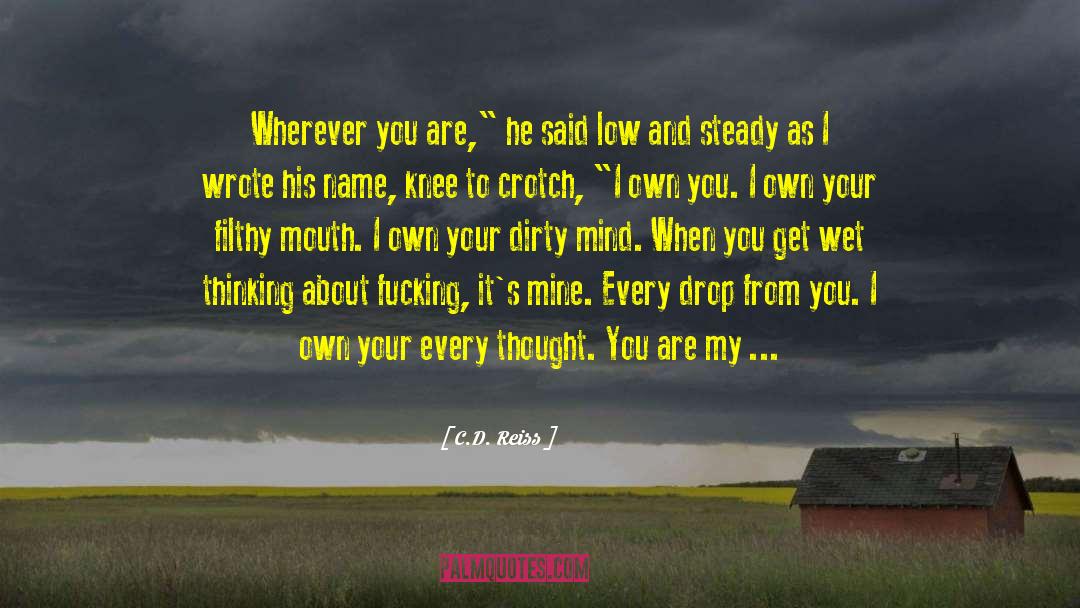 I Own You quotes by C.D. Reiss