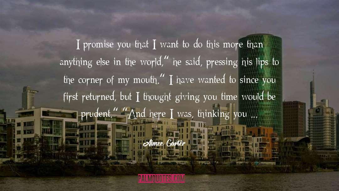 I Promise quotes by Aimee Carter
