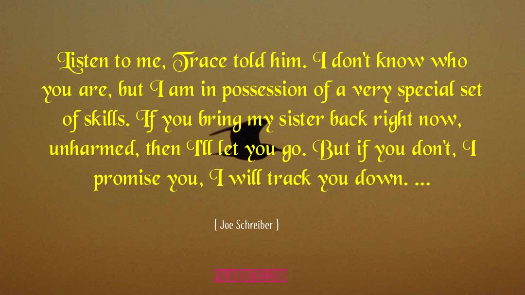 I Promise You quotes by Joe Schreiber