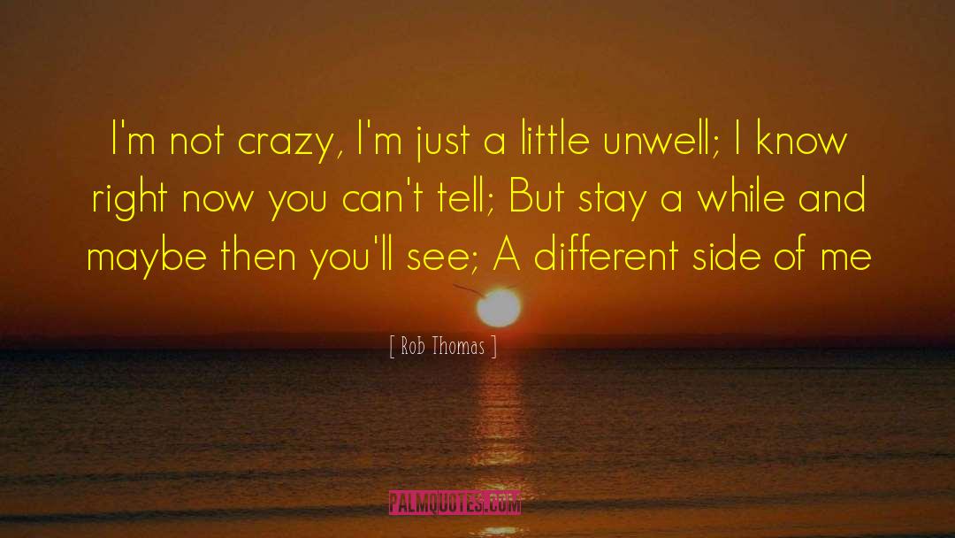 I See Crazy People quotes by Rob Thomas