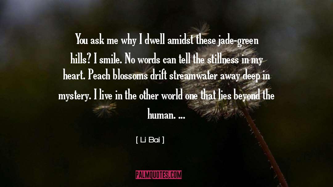 I Smile quotes by Li Bai