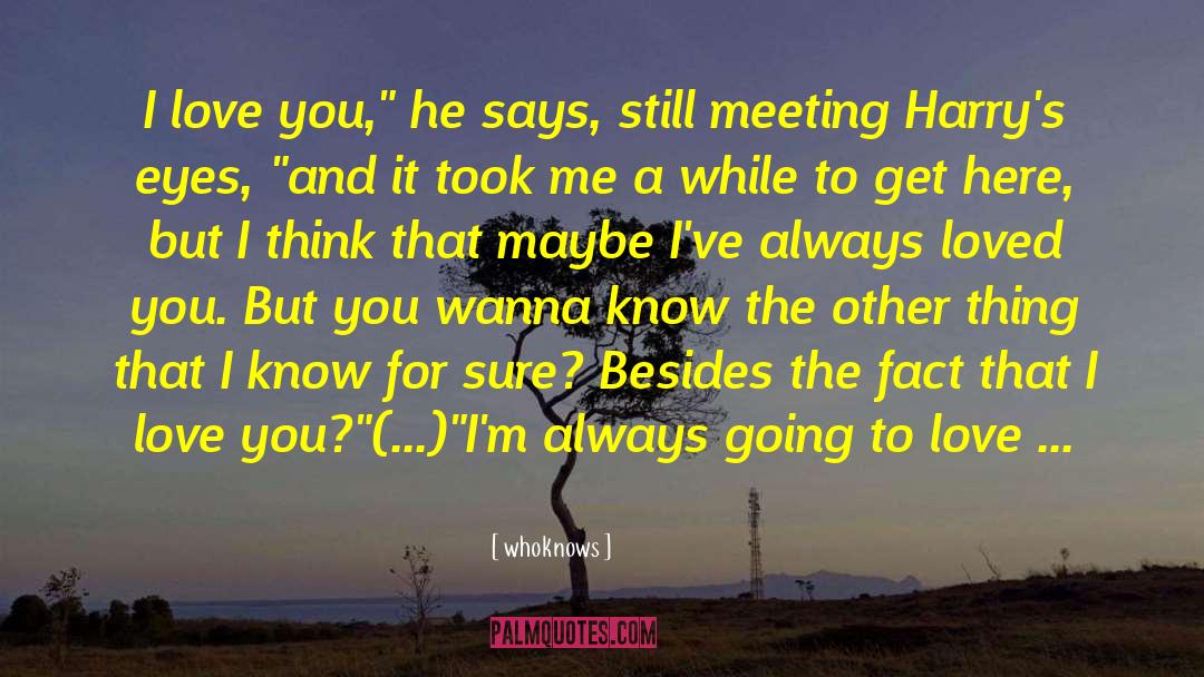 I Still Think About You quotes by Whoknows