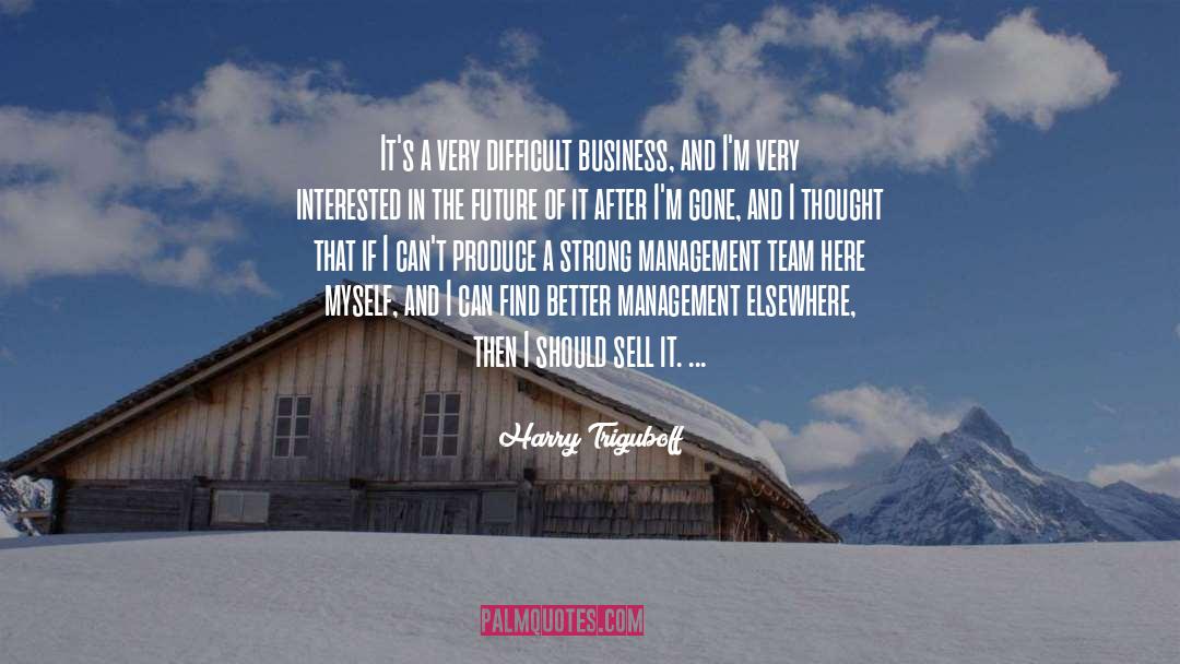 I Team Series quotes by Harry Triguboff