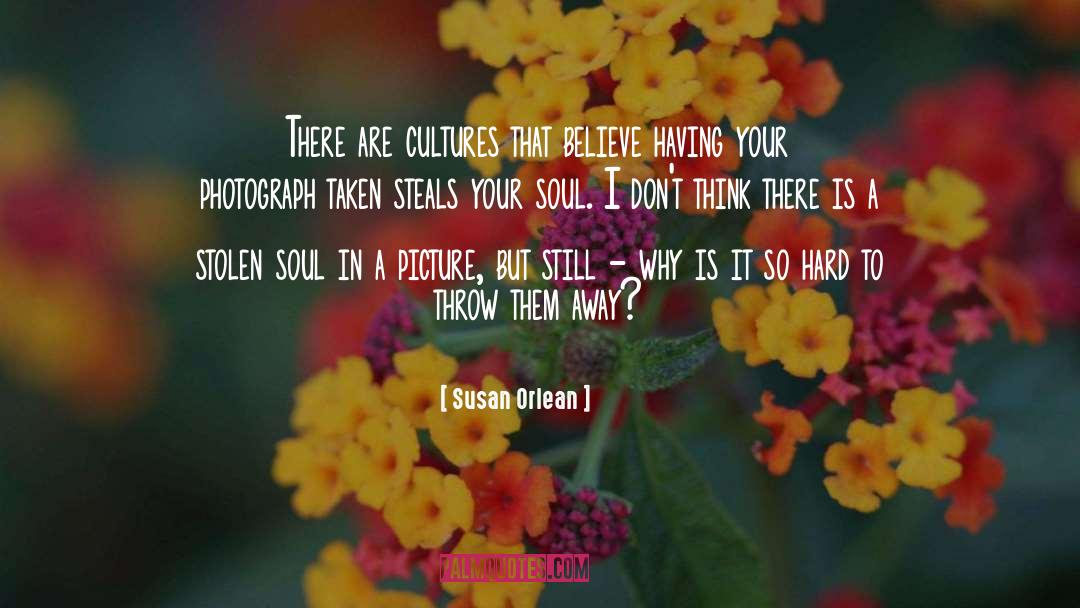 I Think I Still Like You quotes by Susan Orlean