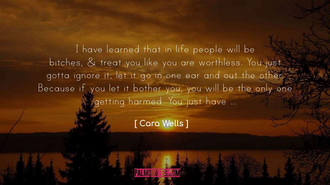 I Treat You Like A Princess quotes by Cara Wells