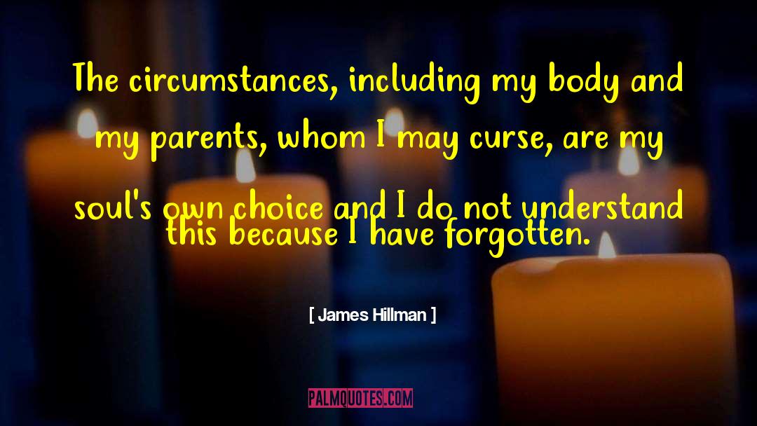 I Understand You quotes by James Hillman