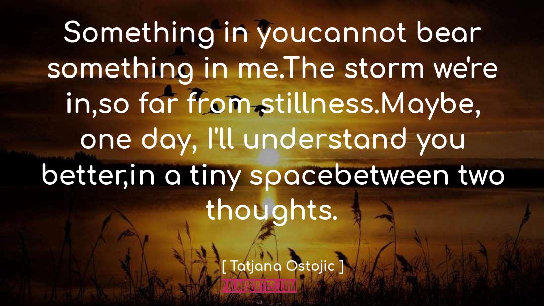 I Understand You quotes by Tatjana Ostojic