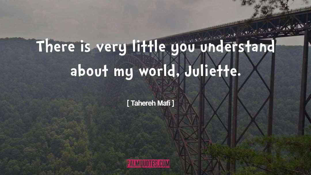 I Understand You quotes by Tahereh Mafi
