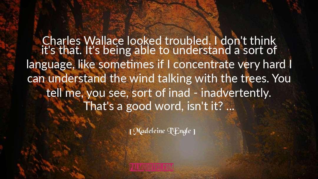 I Used To Look Up To You quotes by Madeleine L'Engle