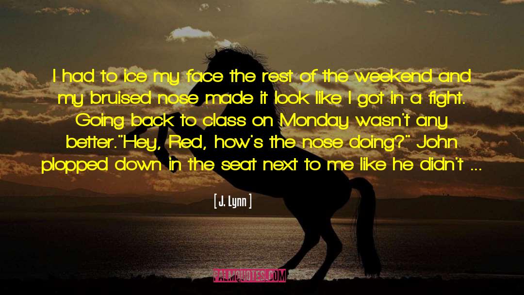 I Used To Look Up To You quotes by J. Lynn
