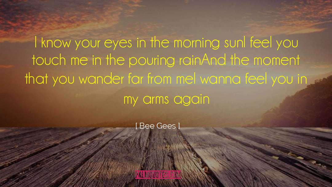 I Wanna Kiss You In The Rain quotes by Bee Gees